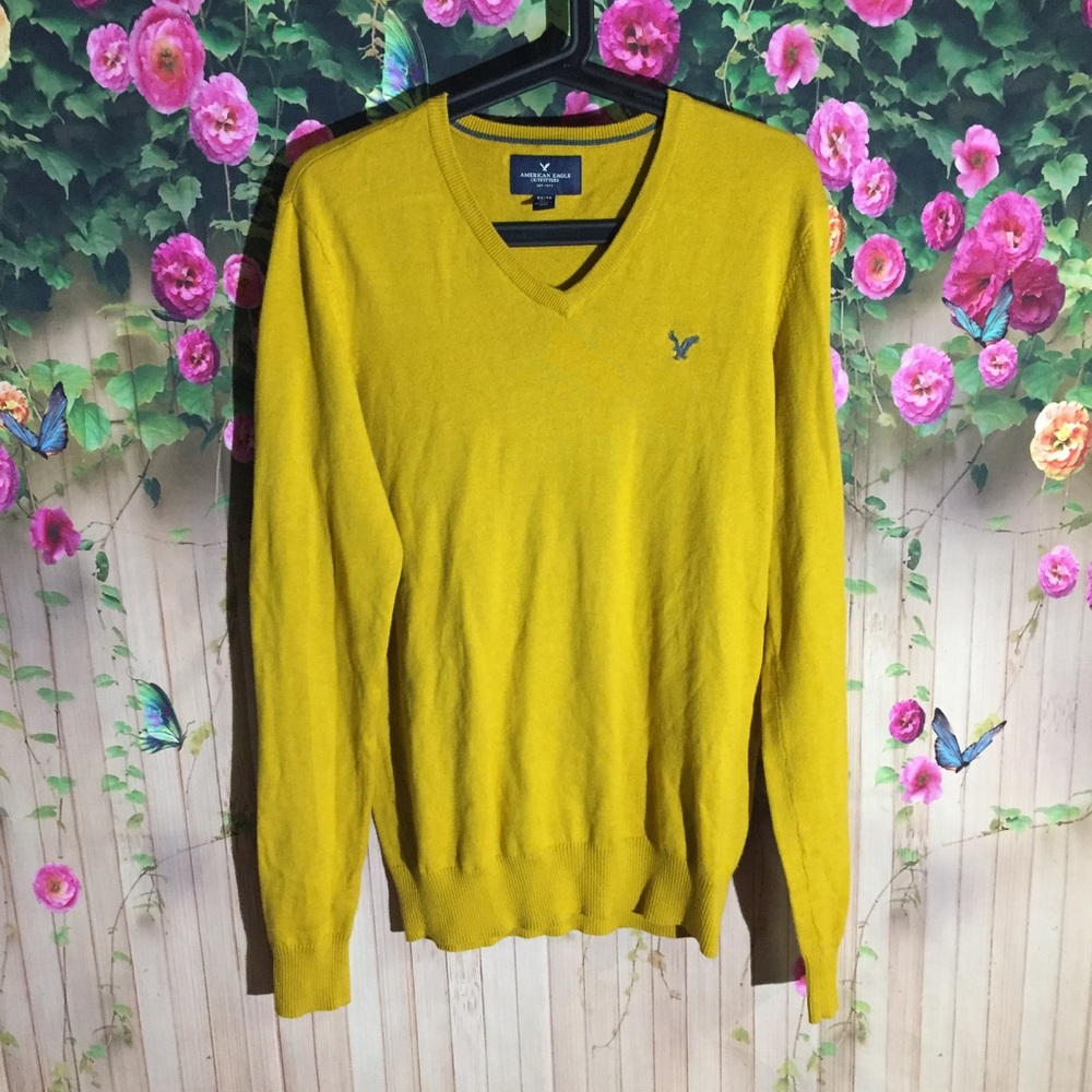 American eagle men's sweater